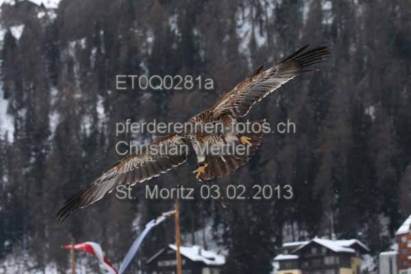 ET0Q0281a prot